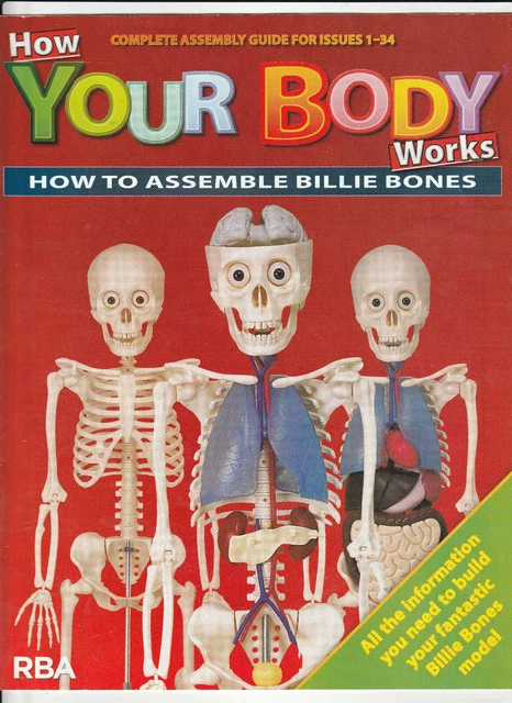 HOW YOUR BODY WORKS Kids Science Magazine Bundle - 3 Issues (No ...