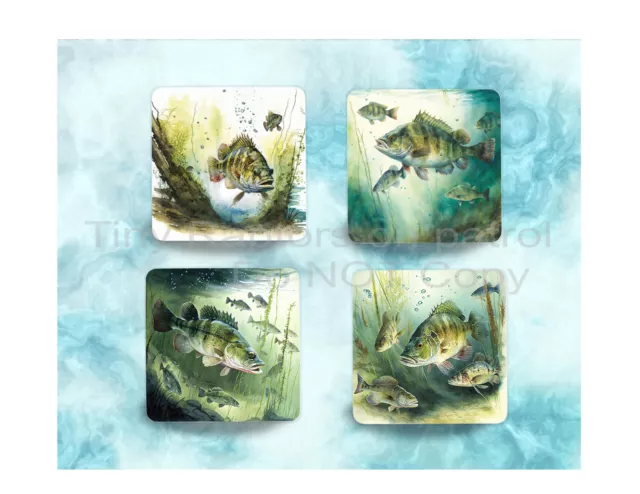 Fish themed neoprene drink coasters, set of 4, CHOICE, absorbent, fishing