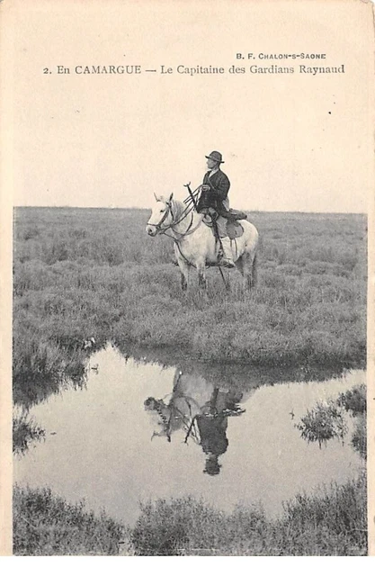 13 - Camargue - Gardians et taureaux dans les marais - CPM - Voir Scans