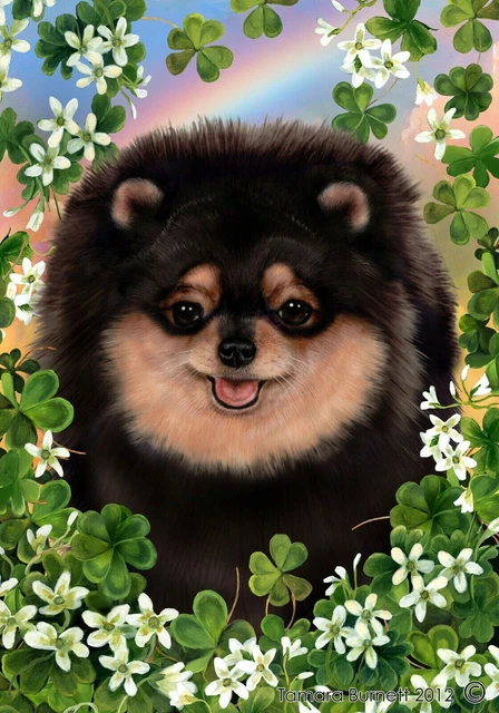Clover Garden Flag - Black and Tan Pomeranian 319561