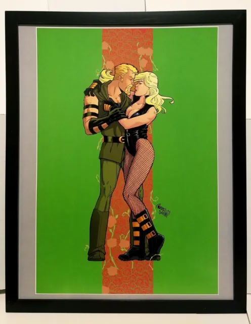 Green Arrow Black Canary by Amanda Conner 11x14 FRAMED DC Comics Art Print Poste