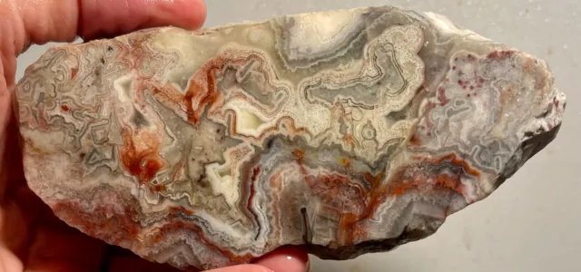 Mexican Crazy/Laguna Lace Agate Faced Rough!