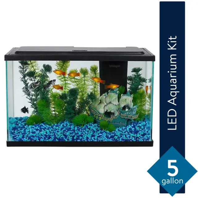 Aqua Culture 5-Gallon Glass Fish Tank LED Aquarium Starter Kit Ships Now