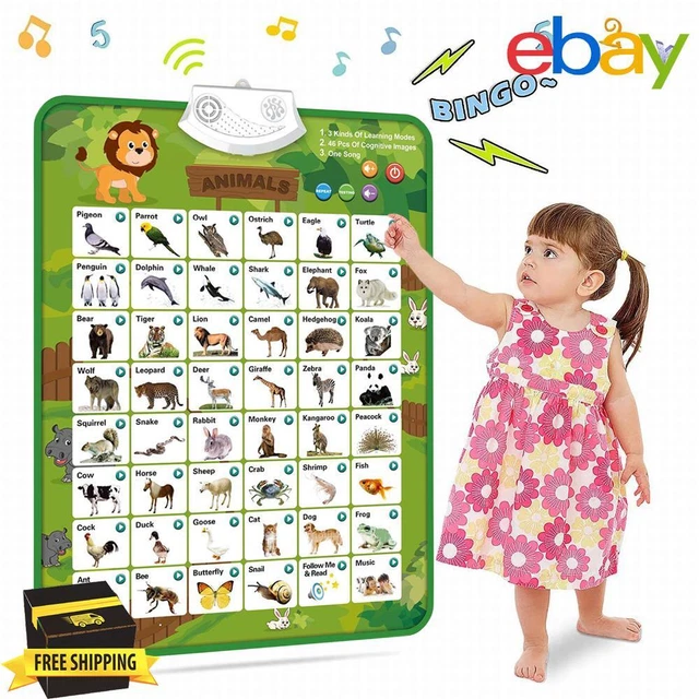 ELECTRONIC ABC LETTER Wall Charts Smart Sound for Boys Girls for Kids ...