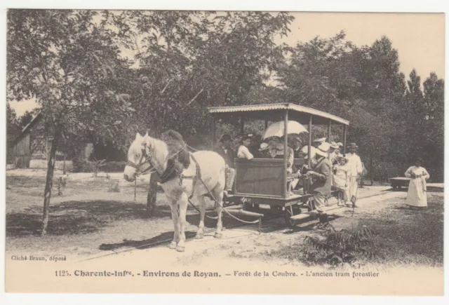 CPA 17 Environs de ROYAN – Braun n° 1125 – Forêt de la Coubre – L’ancien tram fo