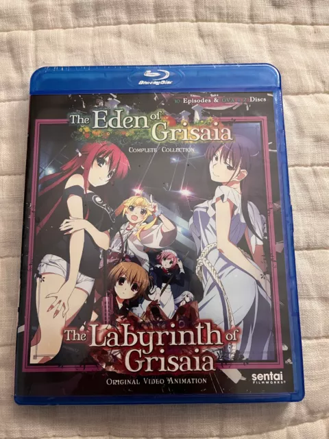 Anime Blu-ray Disc The Labyrinth of Grisaia : Rakuen First Press Limited  version 6-volume set with box, Video software