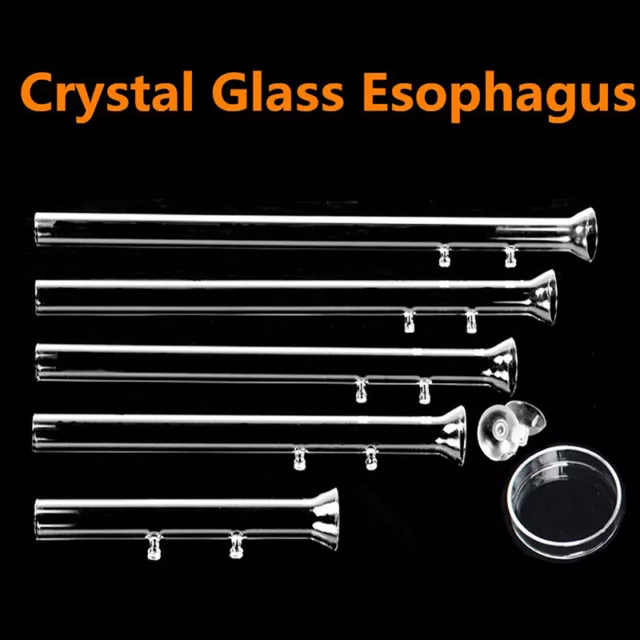 Aquarium Fish Tank Round Glass Feeding Tube Cherry Shrimp Food Tray Dish Feeder