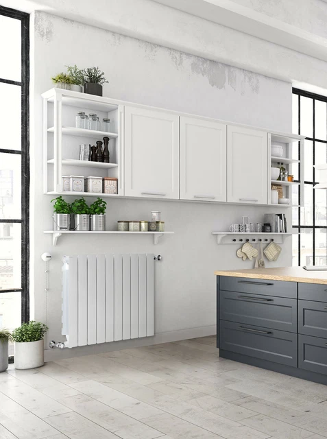 Fondital Hot Water Radiator - European Design, White, Blitz 4-350 10 element
