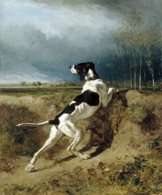 Hunting Hound Pointing Dog Painting By Constant Troyon Repro