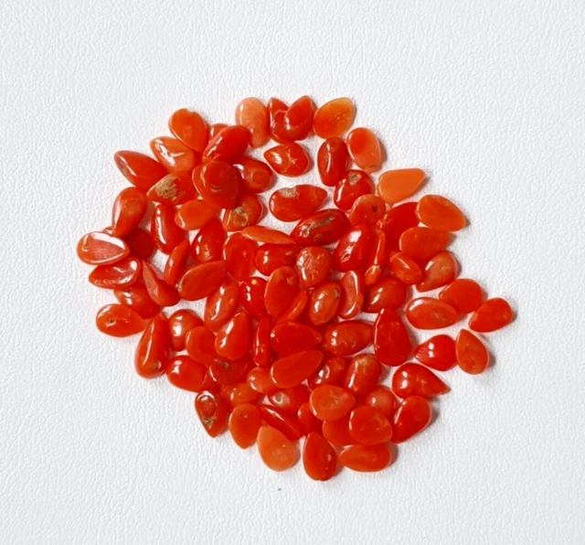 Pietra preziosa cabochon lucida rossa sciolta a forma di pera di corallo...