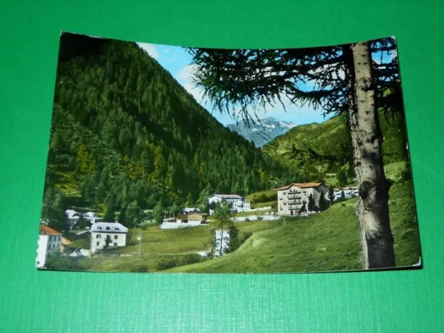 Cartolina Antica Fonte Pejo - Fonte Alpina e alberghi 1962