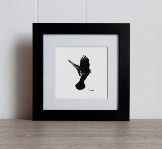 Original crow charcoal pencil drawing in oak frame with acrylic glazing 6" x 6"