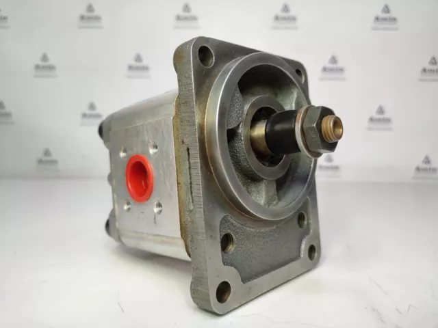 Denison Hydraulics GP2G 12 5R00 B100 Hydraulique Gear Pompe - Neuf