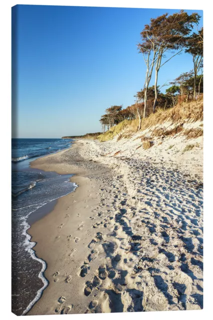 Leinwandbild Ostseestrand auf dem Darß - Sascha Kilmer