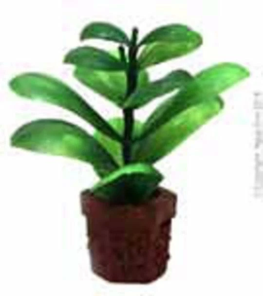 Aqua One A1-24328 Ornament Betta Pot Plant Green 10cm for Aquarium