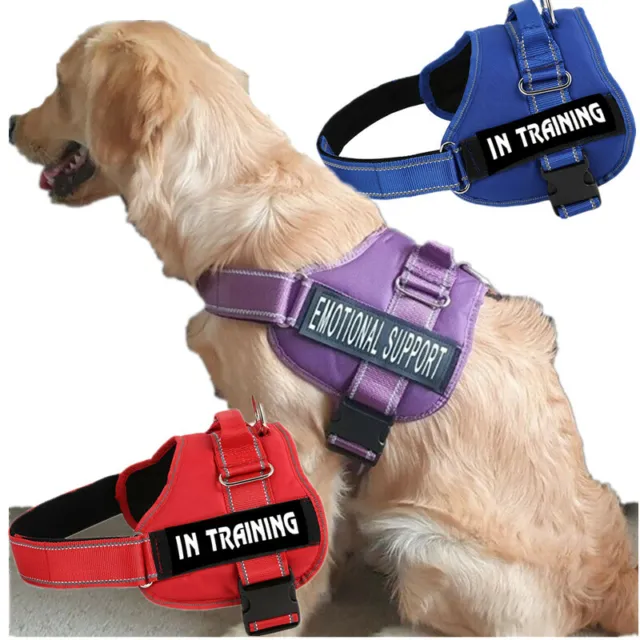 Service Dog Training Control Harness Vest Patches Emotional Support Therapy Dog