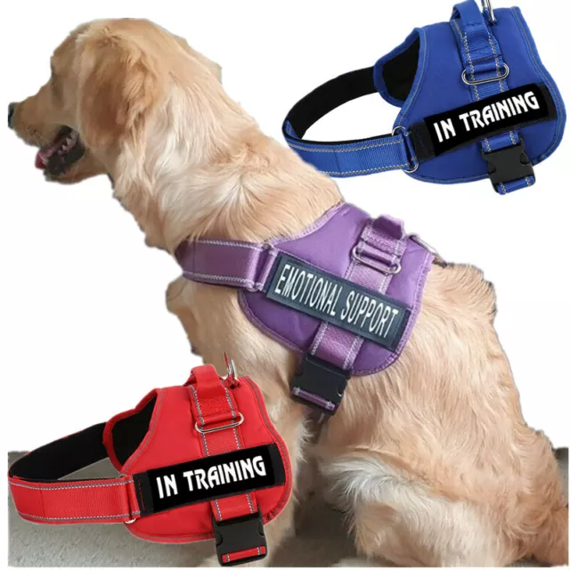 Service Dog Patches for Harness and Vest Removable Dog Vest Patches in  Training