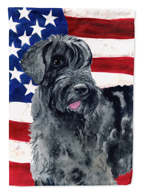 Giant Schnauzer Patriotic Flag Canvas House Size BB9660CHF