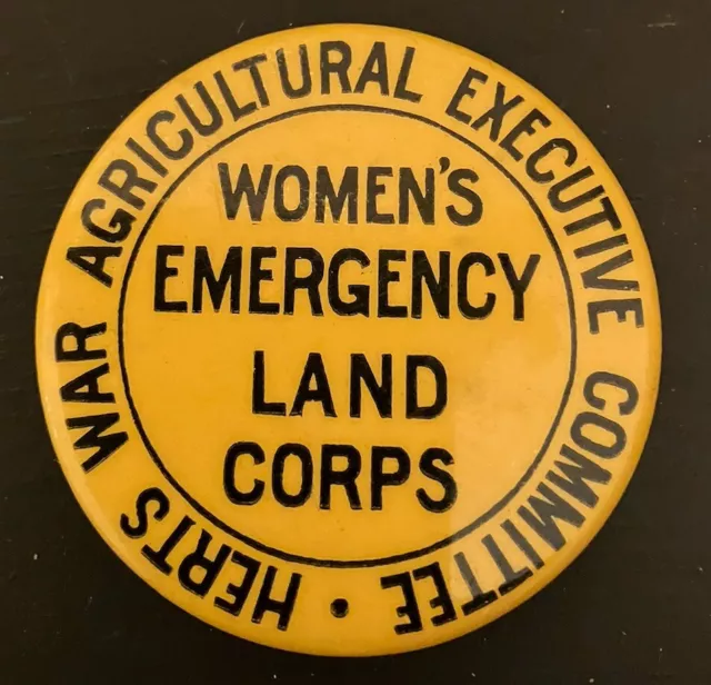 Very Rare Women’s Emergency Land Corp Badge WW2 Herts War Agricultural Committee