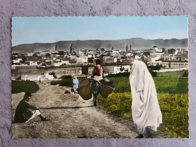 Carte Postale / Cpsm / Maroc / Meknes / Vue De La Ville Ancienne