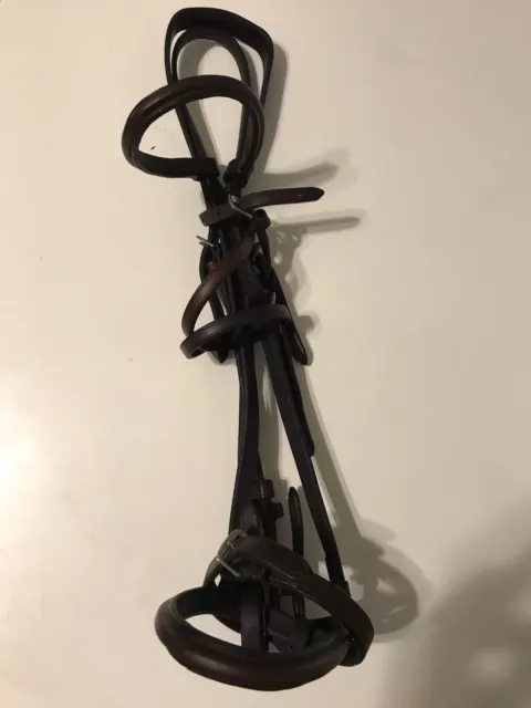 Cob size English bridle