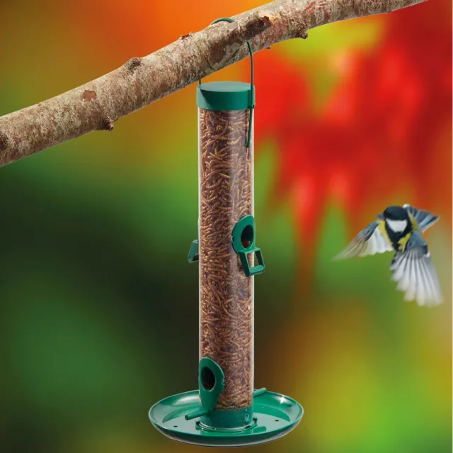 Supa Wild Bird Mealworm Feeder Hanging Holder 4 Port Tray & Lid NEW Happy Beaks