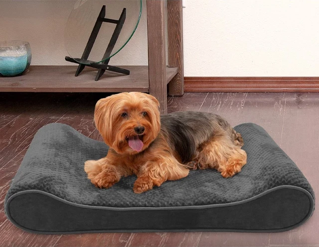 XHT Plush Luxe Lounger Memory Foam Dog Bed Removable Cover