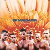 Rammstein : Herzeleid CD (2001) Value Guaranteed from eBay’s biggest seller!