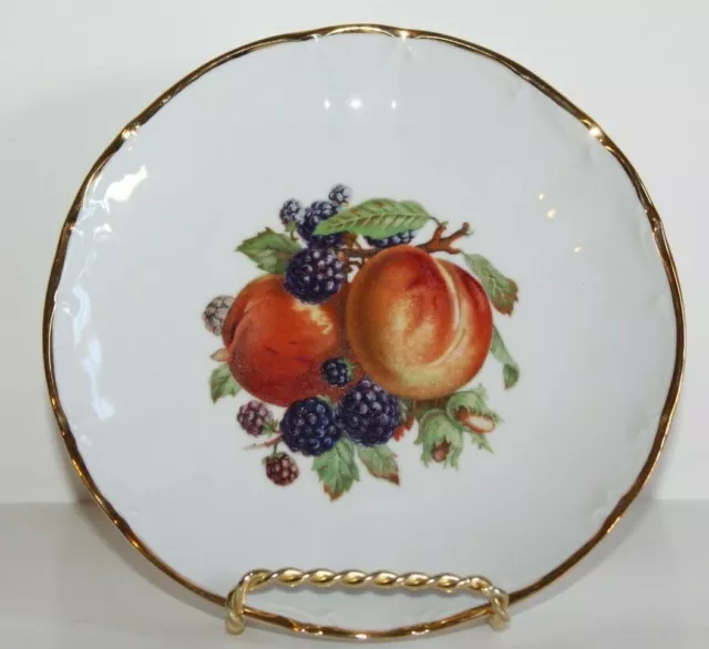 Vintage Fruit Plate BAREUTHER WALDSASSEN Germany Plate 7 3/4" Gold Trim no. 293