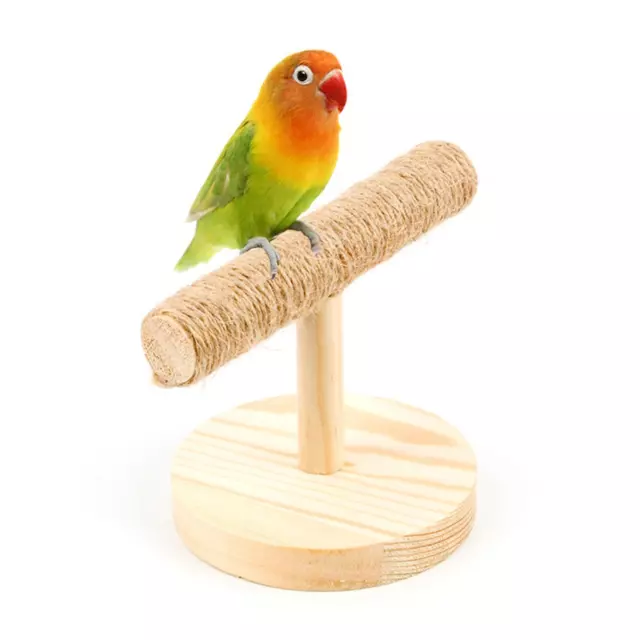 Parrot Perch Stand Gym Parrot Playstand Bird Training T Stand pour Cockatiels