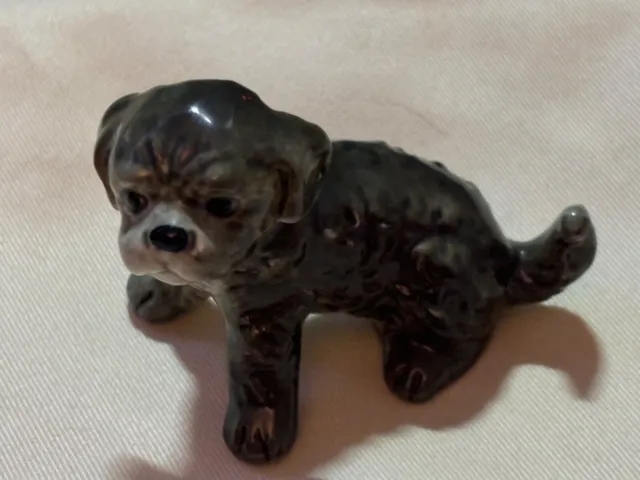 Dandie Denmont Terrier Dog Goebel Puppy Figurine Shih Tzu Shih-Poo Cute Puppy!