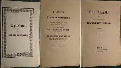 NOZZE AMATI DI PISTOIA E CONTI BRUNACCI DI PISA/NUPTALIA DAL BORGO EPITALAMJ. 