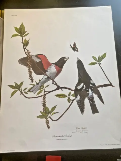 Large RAY HARM Lithograph ROSE-Breasted Grosbeak/Signed w/Folder -