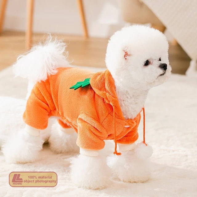 Mascota gato pequeño ropa cálida suave Halloween suéter ropa de cuatro patas