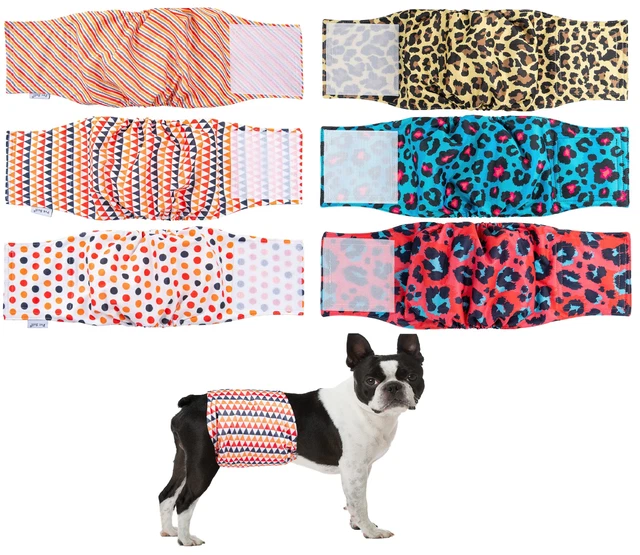 Male dog nappies uk hot sale