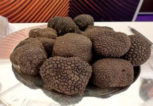 Precious Italian fresh black truffles. Black truffle 350g. 12,3 oz.Mushrooms.Top