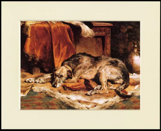 Irish Wolfhound Resting Dog Lovely Print Mounted Ready To Frame