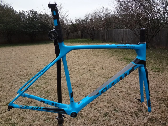 giant tcr advanced sl frameset 2019