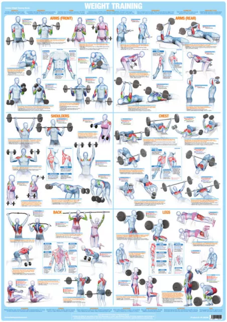 Bodybuilding Poster Weight Training Chart