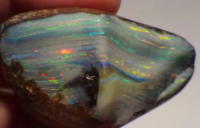 186 CT Gemme Roche Opale Brillante Rot-Gold- Vert-Bleu Video Flashfire-Opals