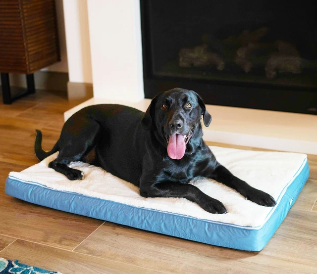 Orthopedic Memory Foam Pet Bed with Sherpa Top and Cooling Gel Infused Layer