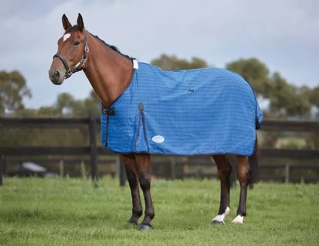 WEATHERBEETA 5’6” Lined Canvas Rug Standard Neck Horse Blue Brand New Waterproof