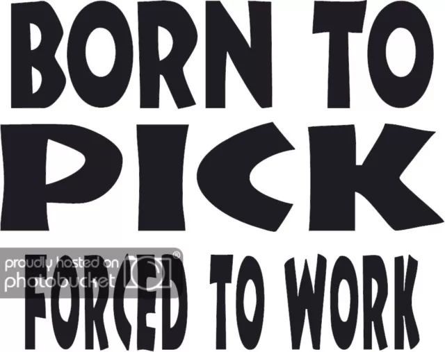 BORN TO PICK FORCED TO WORK REFLECTIVE Vinyl 8" Decal Guitar Band Music 3