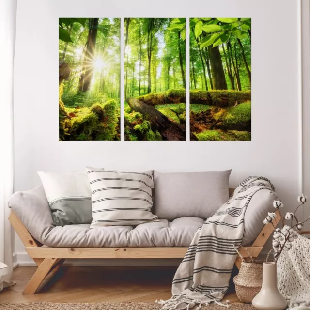 Leinwand Bilder SET 3-Teilig SONNE im Wald grün 3D Wandbilder xxl 1988