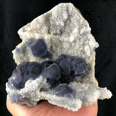 444gNatural Beauty Blue Octahedron Fluorite quartz Crystal Mineral Specimen A510