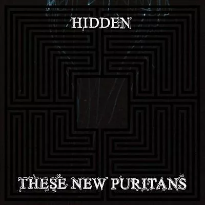 These New Puritans : Hidden CD (2010) Highly Rated eBay Seller Great Prices