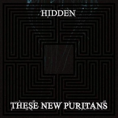 These New Puritans : Hidden CD (2010) Highly Rated eBay Seller Great Prices