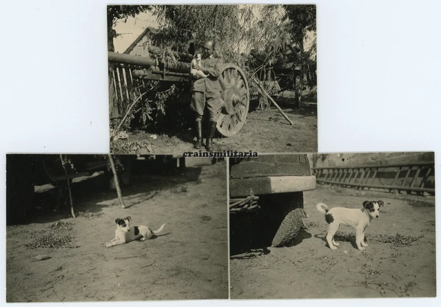3x Orig. Foto 50.ID Offizier m. Hund Puppy Saloniki Geschütz in Bessarabien 1941