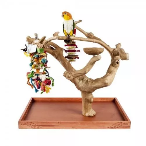 Java Tree Hardwood Mini Tree Conure African Grey Parrot Table Top Play Stand