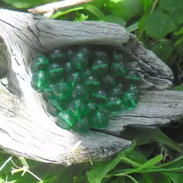 50 Perles de Bohème en verre 8 mm (vert)